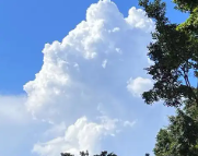 包头天气预报,包头7天天气预报,包头15天天气预报,包头天气查询